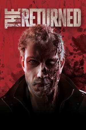 The Returned 2013 Dual Audio Hindi Full Movie - 900MB